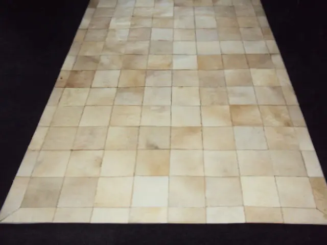 AyubRugs Brown Leather Rug 2