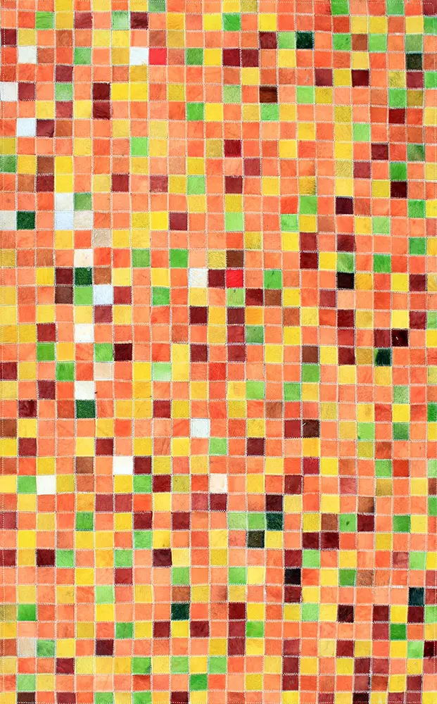 AyubRugs Multi-Colored Leather Rug 6