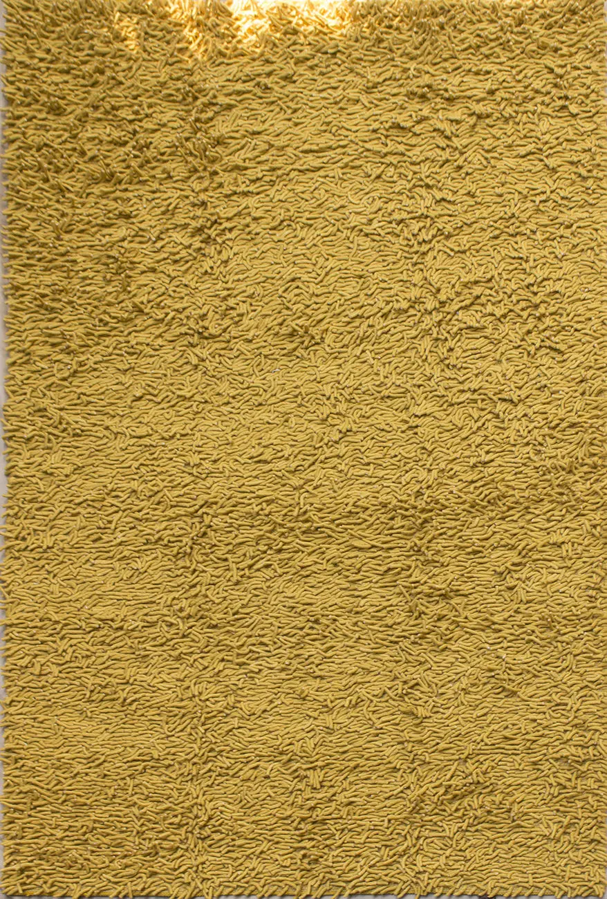 Mustard Primo 6'1 x 9' Shag Rug