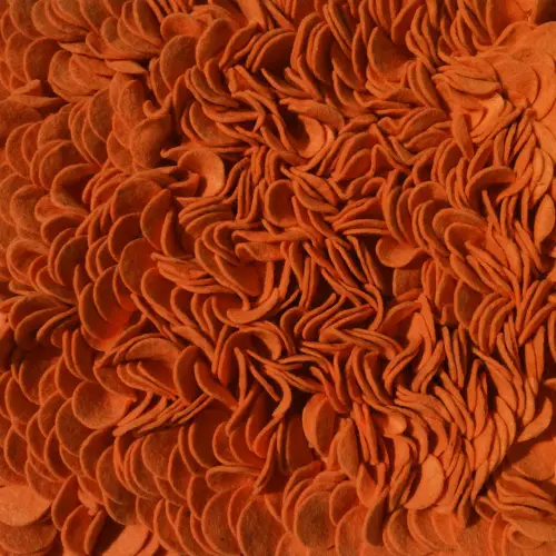 Enoki Carrot Felt Shag Rug