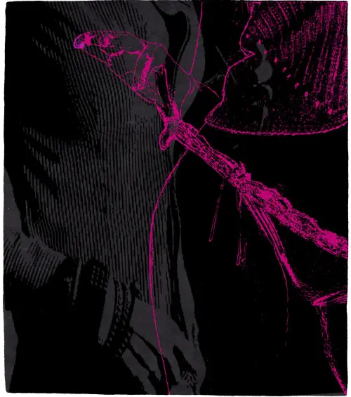 Dare Risque B Wool Rug