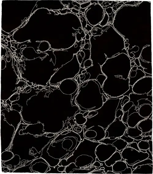 Now Closer A Wool Signature Rug