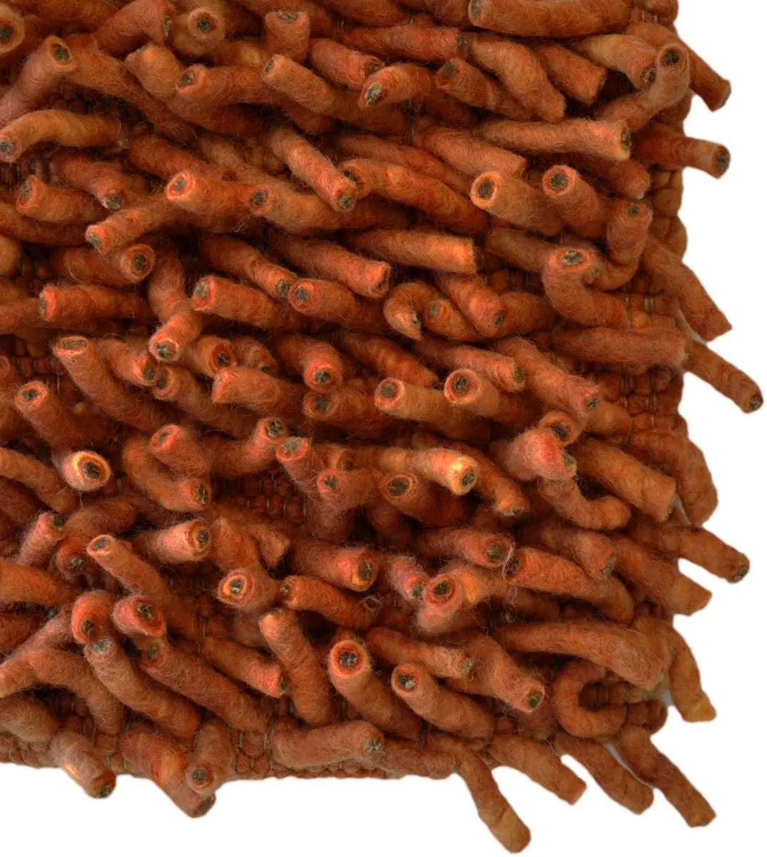 Sedona Solo 121_121 Bird of Paradise Shag Rug