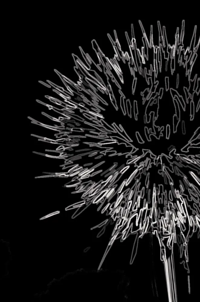 Sola B Signature Rug