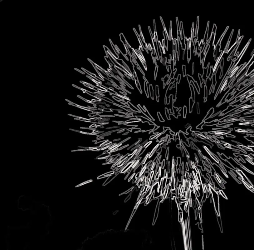 Sola C Signature Rug