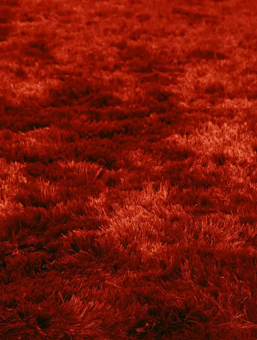 Quirk Sun Flare Shag Rug